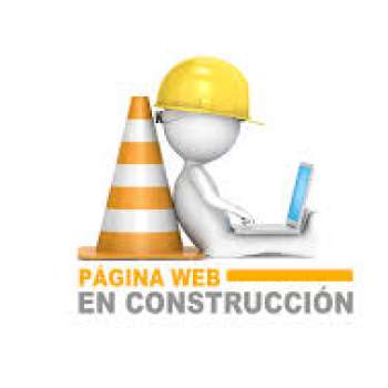 Docentes de la Carrera